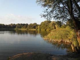 Malchower Teich